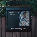 Briefkasten eule